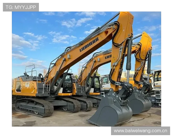 挖掘机品牌：利勃海尔工艺